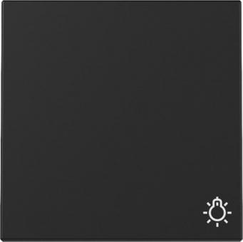 Gira Wippe mit Symbol Licht (schwarz matt) 