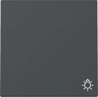 Gira Wippe mit Symbol Licht (anthrazit) 