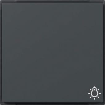 Gira Wippe mit Symbol Licht  TX_44 (anthrazit) 
