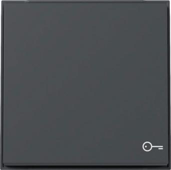 Gira Wippe mit Symbol Tür TX_44 (anthrazit) 