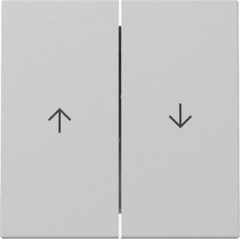 Gira Wippe 2 fach mit Pfeilsymbol (grau matt) 