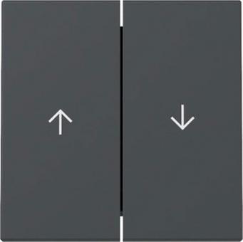 Gira Wippe 2-fach mit Pfeilsymbol (anthrazit) 