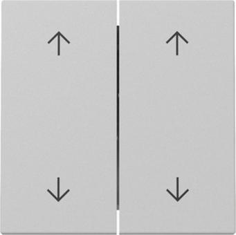 Gira Wippe 2 fach mit Pfeilsymbolen (grau matt) 