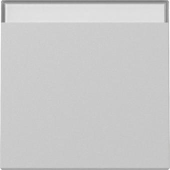 Gira Wippe mit Beschriftungsfeld (grau matt) 