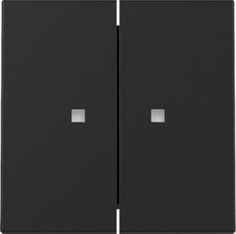 Gira Wippe 2 fach mit Kontrollfenster (schwarz matt) 