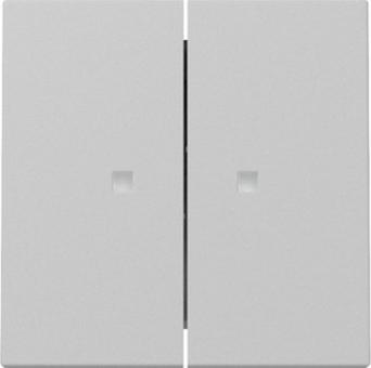 Gira Wippe 2 fach mit Kontrollfenster (grau matt) 
