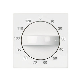 ELSO Joy Zentralplatte für Zeitschaltereinsatz mit Drehbetätigung 120 min, reinweiß 