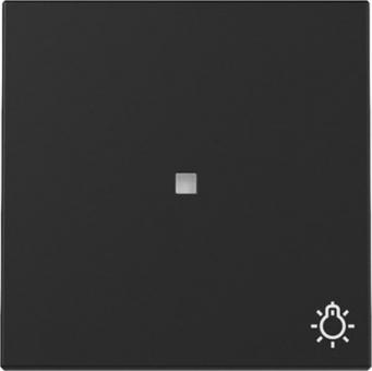 Gira Wippe mit Kontrollfenster und Symbol Licht (schwarz matt) 
