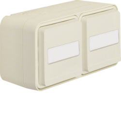 Berker W.1 - Steckdose SCHUKO 2fach, waagerecht mit Klappdeckel, Beschriftungsfeld (polarweiß) 