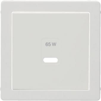 Berker Zentralstück für USB-C PD Power Modul, polarweiß samt 