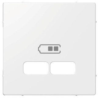 ELSO Joy Zentralplatte für USB Ladestation-Einsatz, reinweiß 