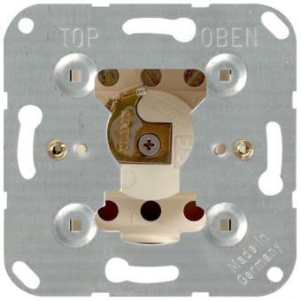 Gira Schlüsselschalter-Einsatz für DIN-Profil-Halbzylinder, 2-polig 