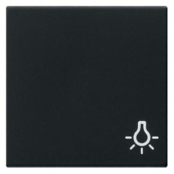 Gira Wippe mit Symbol "Licht" (schwarz matt) 