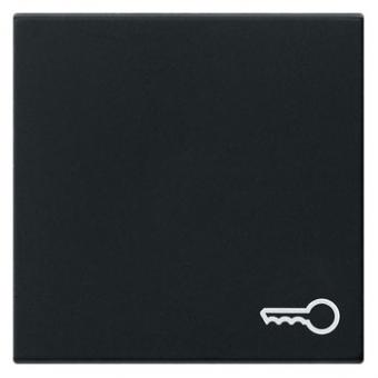 Gira Wippe mit Symbol "Schlüssel" (schwarz matt) 