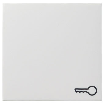 Gira Wippe mit Symbol "Schlüssel" (reinweiß, glänzend) 