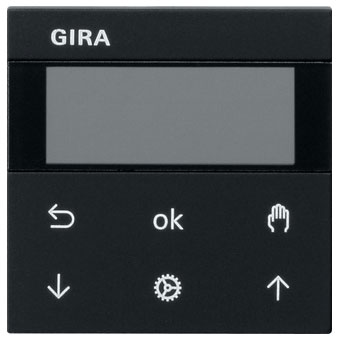 Gira System 3000 Jalousieuhr Display (schwarz matt) 