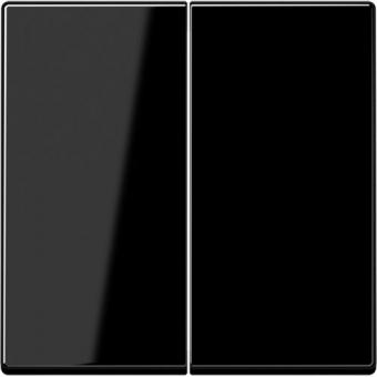 Jung Steuertaste Standard 2fach (schwarz) 