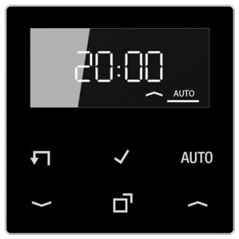 Jung Timer Standard mit Display (schwarz) 