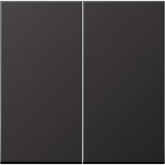 Jung  Steuertaste Standard 2fach (Dark) 