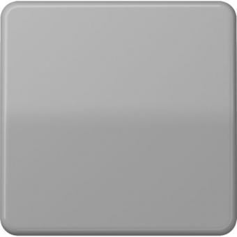 Jung  Steuertaste Standard (grau) 