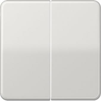 Jung  Steuertaste Standard 2fach (lichtgrau) 