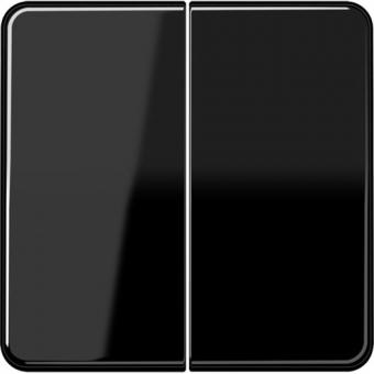 Jung  Steuertaste Standard 2fach (schwarz) 