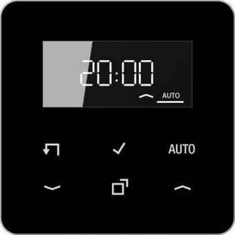 Jung Timer Standard mit Display (schwarz) 