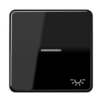 Wippe mit Symbol "Licht", mit Lichtleiter (schwarz) 