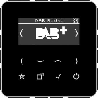 Jung  Smart Radio DAB+ (schwarz) 