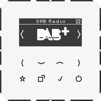Jung  Smart Radio DAB+ (alpinweiß) 