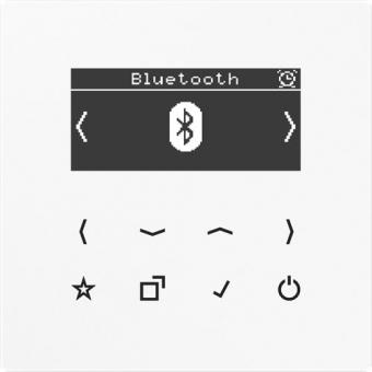 Jung  Smart Radio DAB+ Bluetooth (alpinweiß) 