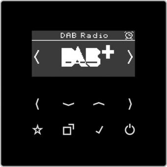 Jung  Smart Radio DAB+ (schwarz) 