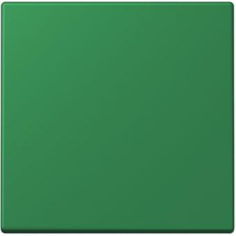 Wippe für Schalter und Taster (vert foncé) 