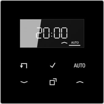 Jung Timer Standard mit Display (schwarz) 