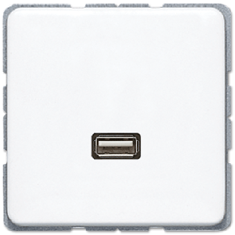 Jung Mutimedia-Einsatz USB (alpinweiß) 