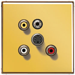 Jung Mutimedia-Einsatz Cinch Audio/Composite Video/S-Video  / Miniklinke 3,5 mm (Gold) 