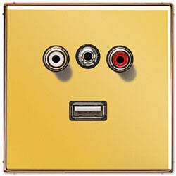 Jung Mutimedia-Einsatz Cinch Audio / Miniklinke 3,5 mm / USB (Gold) 