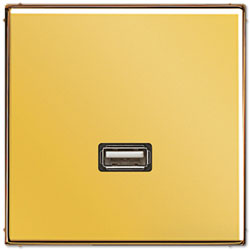 Jung Mutimedia-Einsatz USB (Gold) 