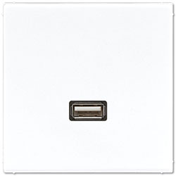 Jung Multimedia-Einsatz USB (alpinweiß) 
