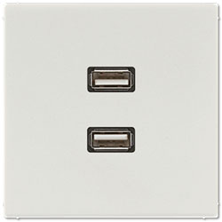 Jung Multimedia-Einsatz 2 x USB (lichtgrau) 