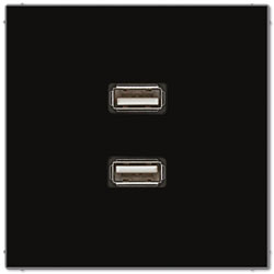 Jung Multimedia-Einsatz 2 x USB (schwarz) 