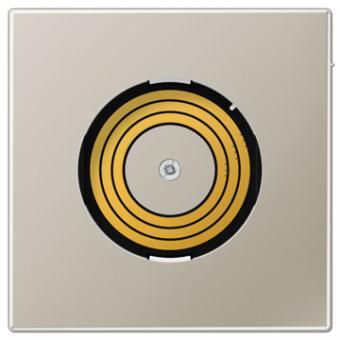 Jung Abdeckung Plug & Light (Edelstahl) 