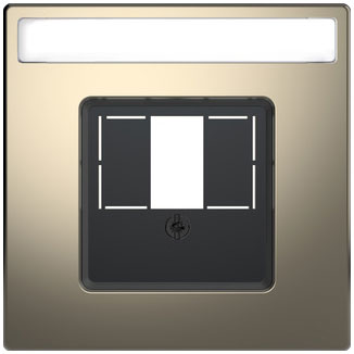 Merten  Zentralplatte m. rechteckigem Ausschnitt u. Schriftfeld  System Design, Nickelmetallic 