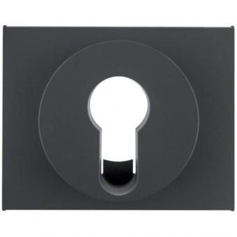 Berker Zentralstück für Schlüsselschalter/-taster (anthrazit) 