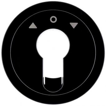 Berker Zentralstück für Jalousie-Schlüsselschalter/-taster (schwarz, glänzend) 