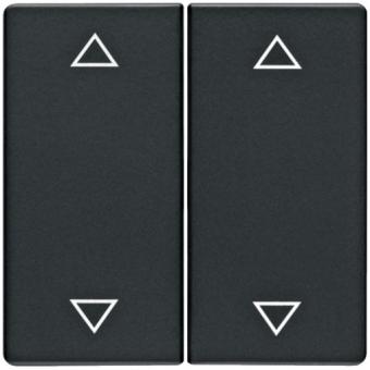 Berker Wippe mit Aufdruck Symbol Pfeile (anthrazit, samt) 
