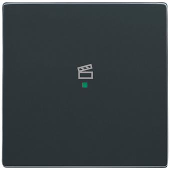 Wippe 1-fach, mit Symbol "Szene" für Busch-free@home® future® linear (anthrazit) 