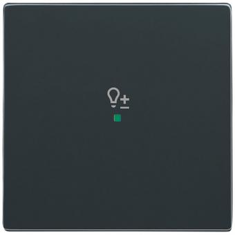 Wippe 1-fach, mit Symbol "Dimmer" für Busch-free@home® future® linear (anthrazit) 