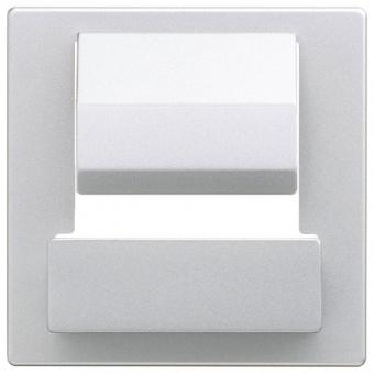 Busch-Jaeger Zentralscheibe für Busch-powerDock (alusilber) 