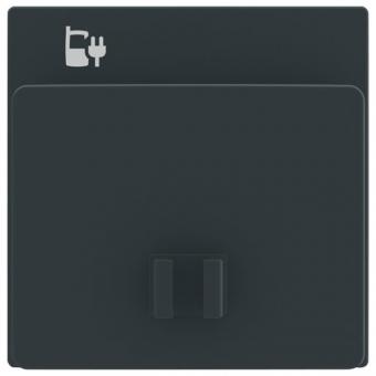 Busch-Jaeger Zentralscheibe für USB Ladestation Einsatz (anthrazit) 